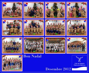Grups d'entrenament 20102